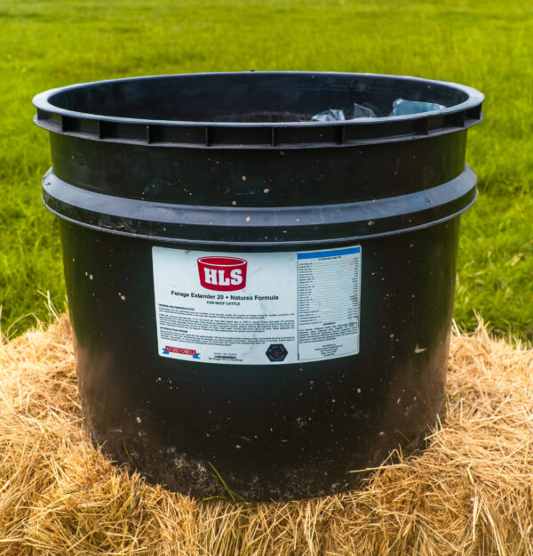 Forage Extender 20+ NF